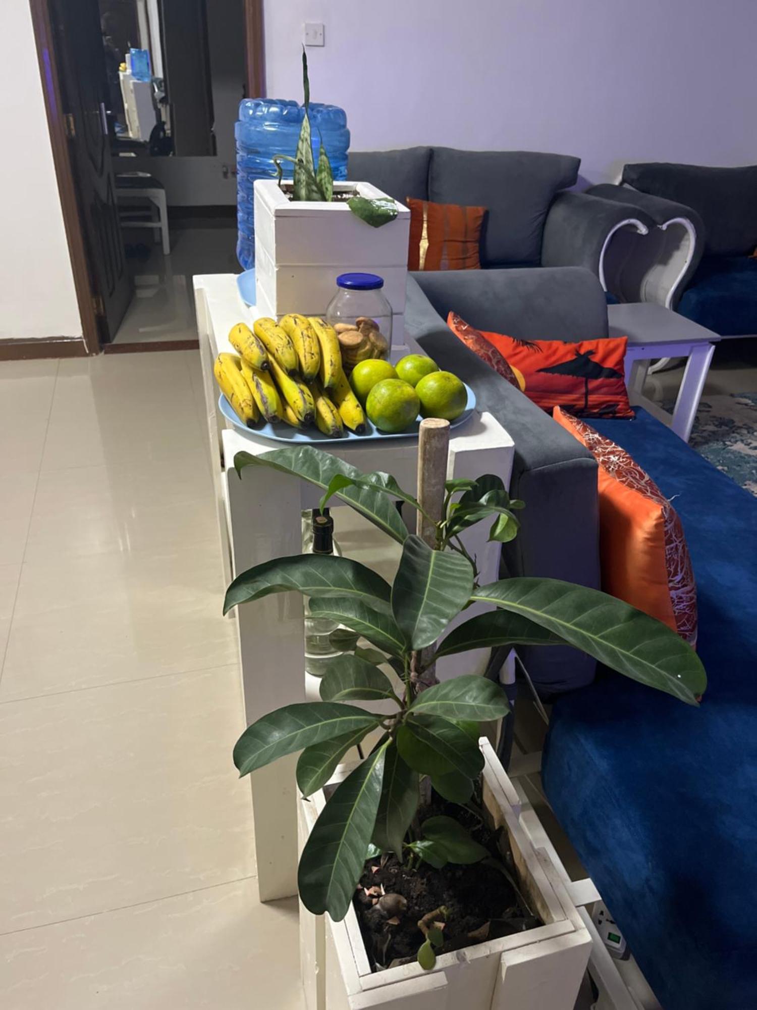 The Coffee Residences- 3 Bedroom Apartments-4Km To Jkia, 7Km To Cbd Nairobi Eksteriør bilde